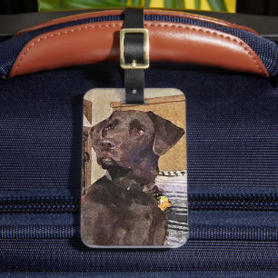 Handsome Chocolate Labrador Retriever Luggage Tag