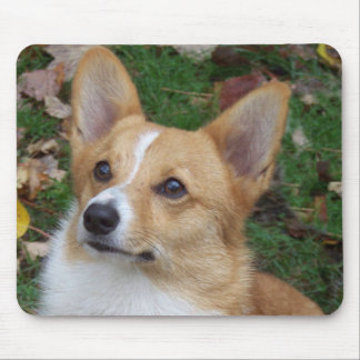 Handsome Corgi Mouse Pad