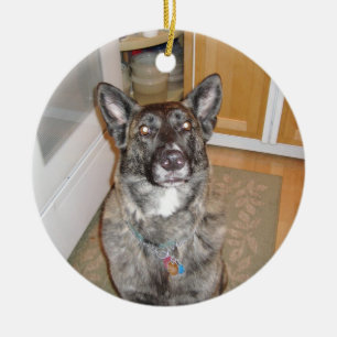Handsome Dog Ornament
