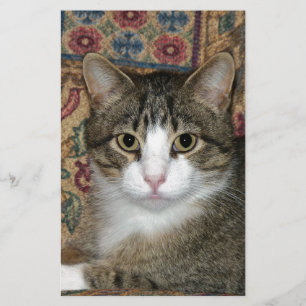 Handsome Fellow Stationery