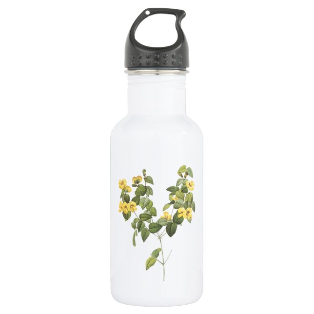 handsome flat-pea(Platylobium sp.) by Redouté 532 Ml Water Bottle (Front)