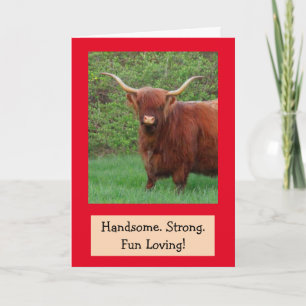 Handsome Funny Highland Steer Birthday Card