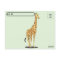 Handsome Giraffe Postcard