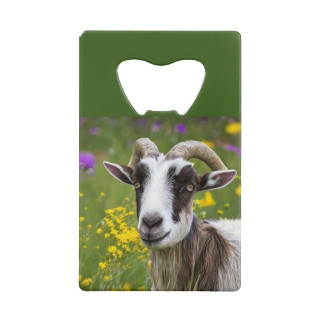 Handsome Goat  (Front)