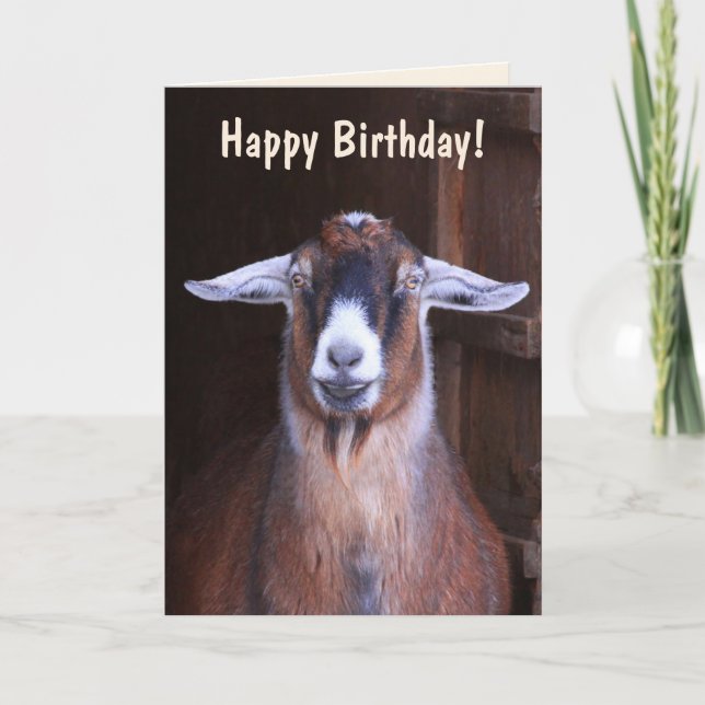 Handsome Goat Birthday Card (Front)