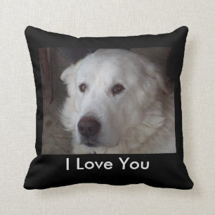 Handsome Great Pyrenees Dog Cushion