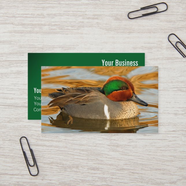 Handsome Green-Winged Teal Duck on Golden Pond Business Card (Front/Back In Situ)