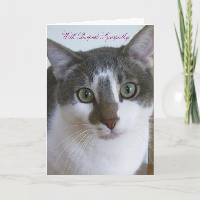 Handsome Grey and White Cat - Pet Sympathy Card (Front)