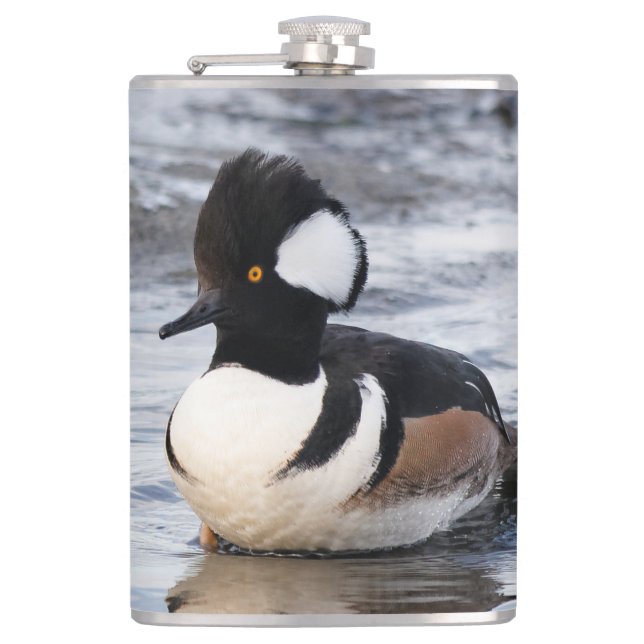 Handsome Hooded Merganser on the Move Hip Flask (Front)