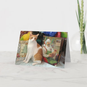 Handsome Kagan Brings Gifts - Cat Christmas Card