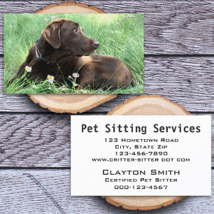Handsome Labrador Retriever Photograph Animal Care Business Card