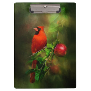 Handsome Male Cardinal Clipboard