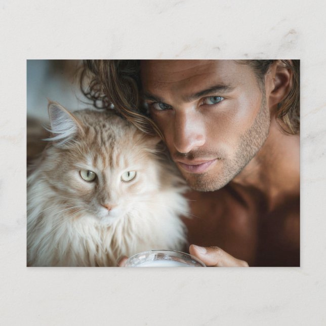 Handsome Men & Cats Art Postcard (Front)