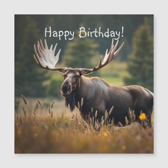 Handsome Moose Magnetic Birthday Card (Front)