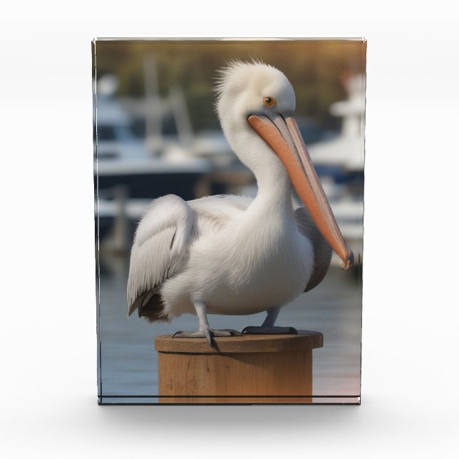 Handsome Pelican Photo Block (Front)