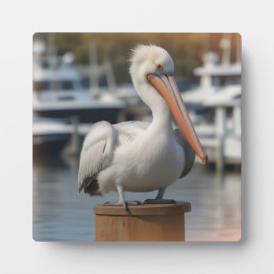 Handsome Pelican Plaque