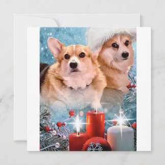 Handsome Pembroke Welsh Corgis  Holiday Card