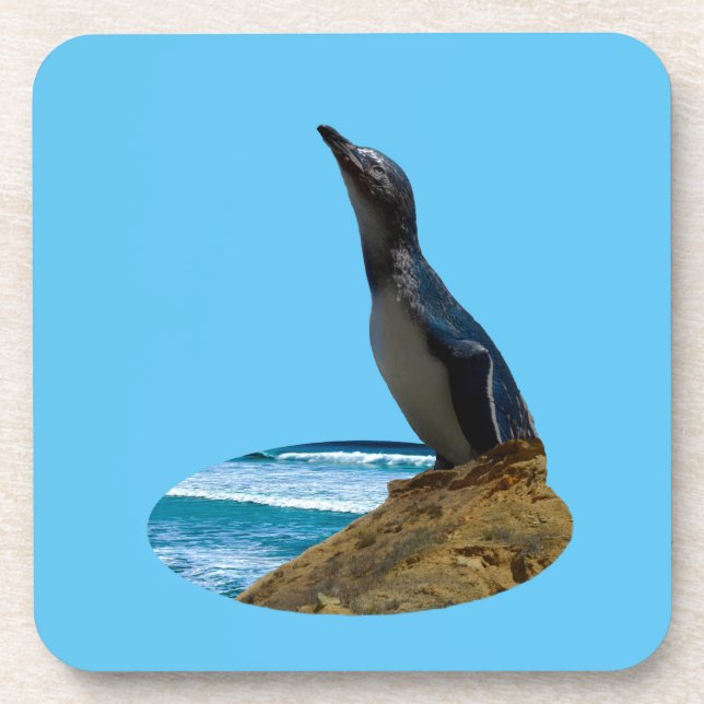 Handsome Penguin,   Coaster (Front)