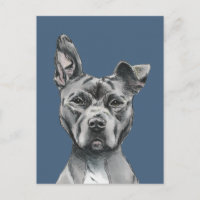 Handsome Pit Bull Terrier Dog Drawing