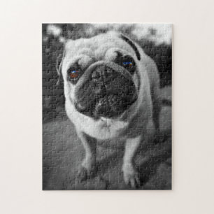 Handsome Pug Jigsaw Puzzle