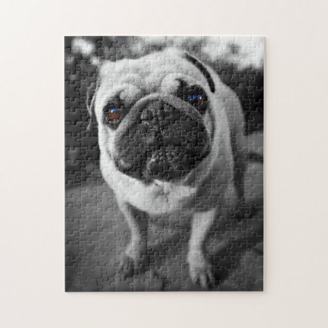 Handsome Pug Jigsaw Puzzle (Vertical)
