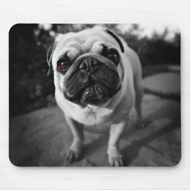 Handsome Pug Mouse Pad (Front)