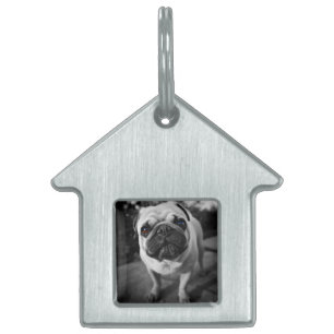Handsome Pug Pet Name Tag