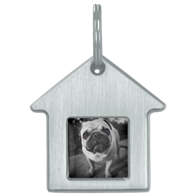 Handsome Pug Pet Name Tag (Front)