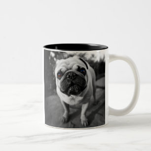 Handsome Pug Two-Tone Coffee Mug