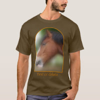 Handsome Shire Draft Horse Personalized