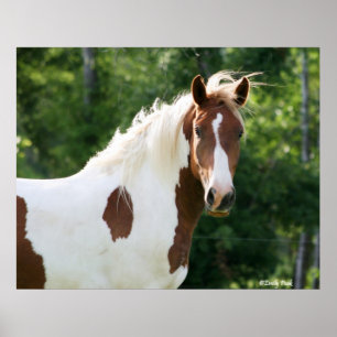 Handsome Sonny Poster