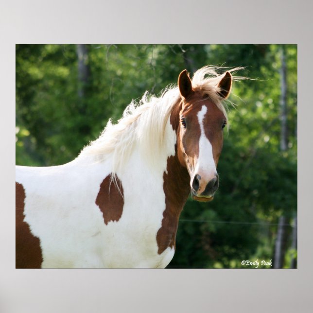 Handsome Sonny Poster (Front)