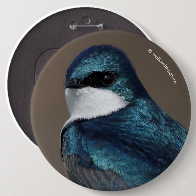 Handsome Tree Swallow: Bird on a Wire 6 Cm Round Badge (Front & Back)