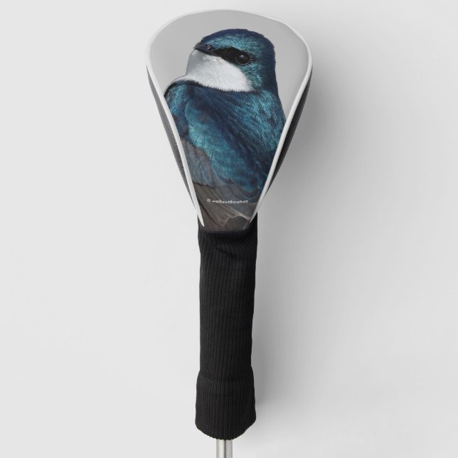 Handsome Tree Swallow Songbird on a Wire Golf Head Cover (Front)