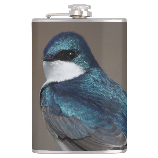 Handsome Tree Swallow Songbird on a Wire Hip Flask (Front)