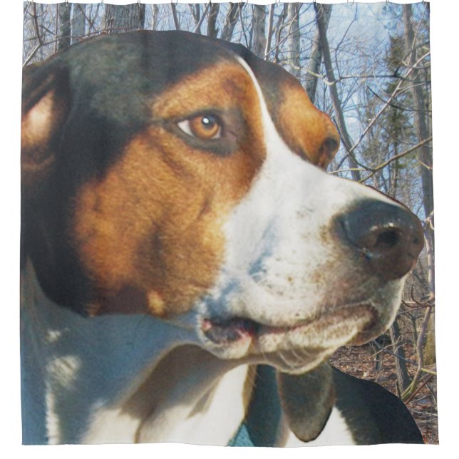 Handsome Treeing Walker Coonhound Shower Curtain (Front)
