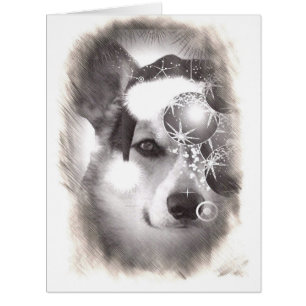 Handsome Tricolor Christmas Corgi