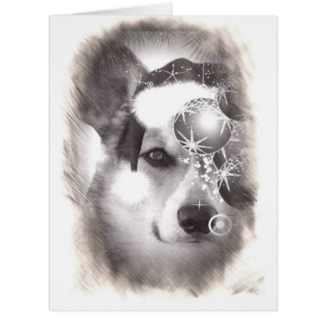 Handsome Tricolor Christmas Corgi (Front)