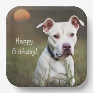 Handsome White Pitbull Birthday Paper Plate