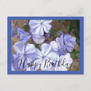 Handwritten Blue Flower Postcard