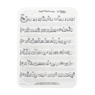 Handwritten Sheet Music rectangle fridge magnet