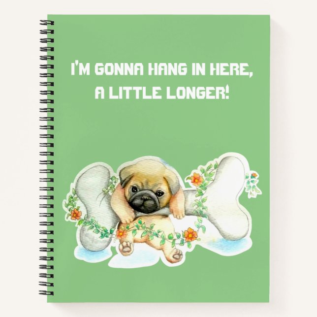 Hang In Here Spiral Notebook (Front)