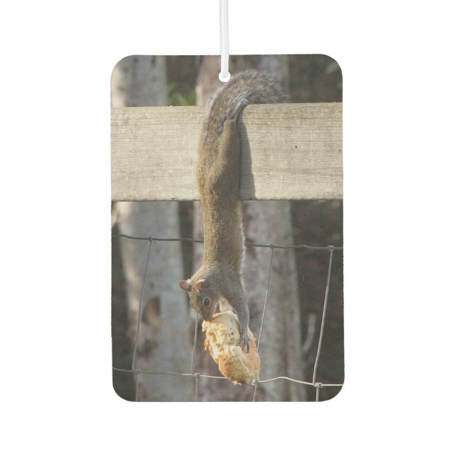 Hang In There Baby - Squirrel - Air Freshener (Front)