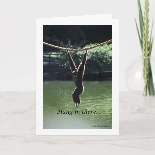 Hang In There Card (Front)
