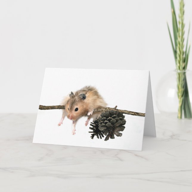 Hang in there card (Front)