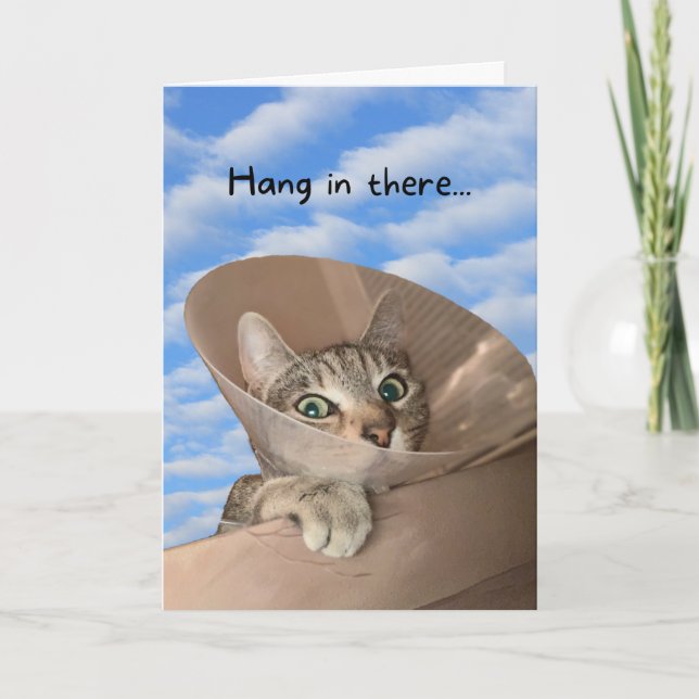 Hang In There Cat in Cone Funny Get Well  Card (Front)