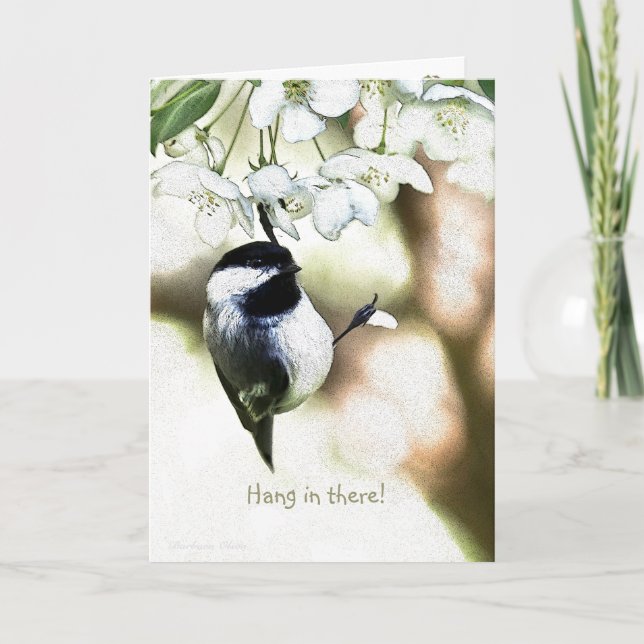 Hang in there!-Encouragement/Get-Well: Card (Front)