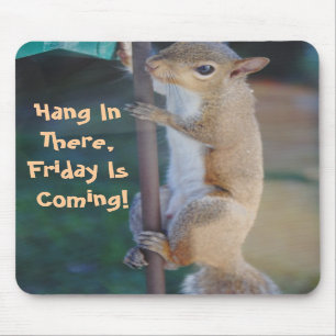 Hang in There, Friday is Coming, Squirrel Mousepad