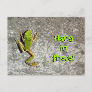 Hang in There Frog Postcard