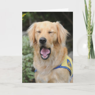 Hang in there Greeting Card